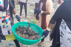 WhatsApp-Image-2023-02-11-at-12.38.42