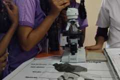IMG-20250822-WA0025