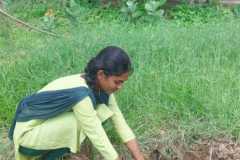 WhatsApp-Image-2025-11-15-at-12.16.51_7d3c3570