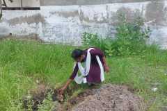 WhatsApp-Image-2025-11-15-at-12.16.51_a8e47cef