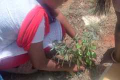 IMG-20250908-WA0043