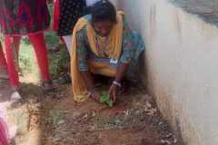 IMG-20250908-WA0045